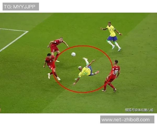 塞尔维亚对阵巴西比赛分析及必发指数解读