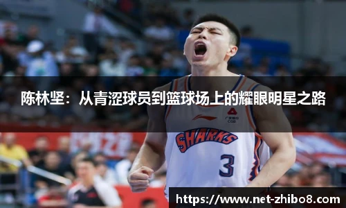 陈林坚：从青涩球员到篮球场上的耀眼明星之路